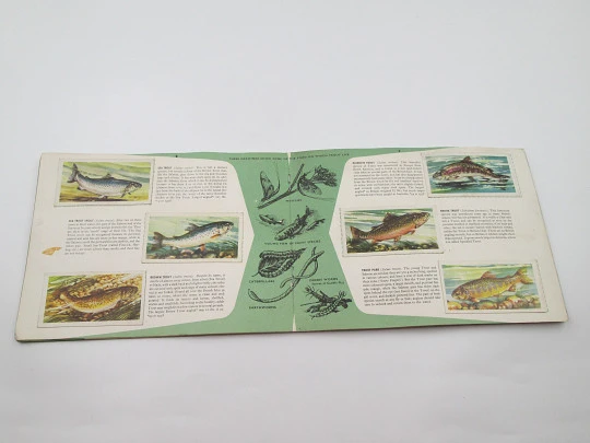 Freshwater fish picture cards album. Brooke Bond. 50 colour images. England. 1960's