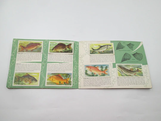 Freshwater fish picture cards album. Brooke Bond. 50 colour images. England. 1960's