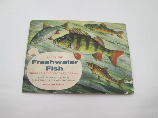 Freshwater fish picture cards album. Brooke Bond. 50 colour images. England. 1960's