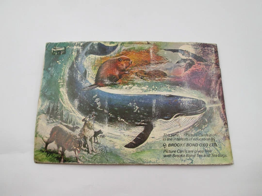 Wonders of Wildlife picture cards album. Brooke Bond. 50 colour images. 1960's